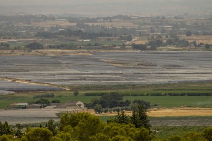 La planta solar que promueve Forestalia en Alcarràs. - JORDI ECHEVARRIA