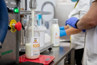 Una màquina omplint una botella de iogurt del projecte social La Lleteria de Talma en un obrador.