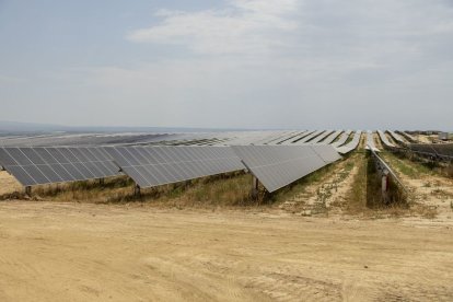 Els projectes d’evacuació dels parcs solars d’Alcarràs han provocat protestes de pagesos. - JORDI ECHEVARRIA