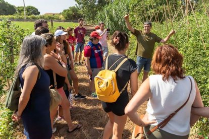 Quinta edición del taller de conserva de tomate en la Granja Pifarré - DIPUTACIÓ DE LLEIDA