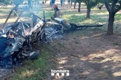 El estado en que quedó la avioneta en medio del campo de almendros después de incendiarse. - BOMBERS