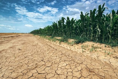 La sequía y las olas de calor, los fenómenos que más afectan.
