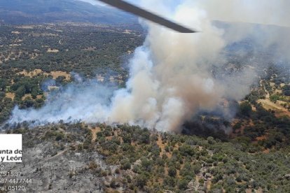 Reactivat un incendi a Àvila, i estabilitzats a Palència i Badajoz - JCYL