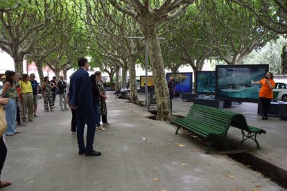 L’exposició serà al passeig Joan Brudieu fins al 17 d’agost. - C.SANS