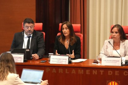 La consellera Niubó, al centre, durant la compareixença ahir al Parlament. - MÒNICA RIU/ACN