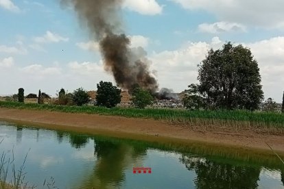 Imagen de la columna de humo que originó el fuego. - BOMBERS
