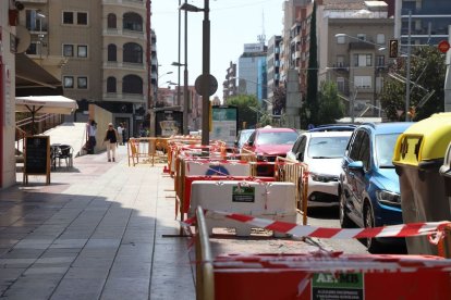 Alcorques sin árboles en la avenida Rovira Roure. - MAGDALENA ALTISENT