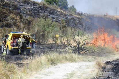 Esfuerzos de contención de una zona de fuego en Aranjuez. - EFE/ VÍCTOR LERENA