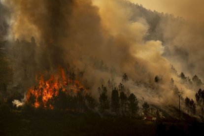 La província d’Ourense també pateix dos grans incendis. - EFE/ BRAIS LORENZO