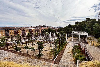 L’inacabat Museu del Clima a Gardeny. - QUINTÍ CASALS
