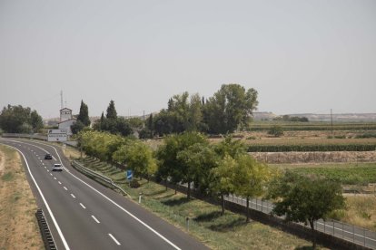 Vista de los terrenos junto a la autovía A-2 donde está prevista la planta de biogás de Vilagrassa. - CONSELL COMARCAL DE L’URGELL
