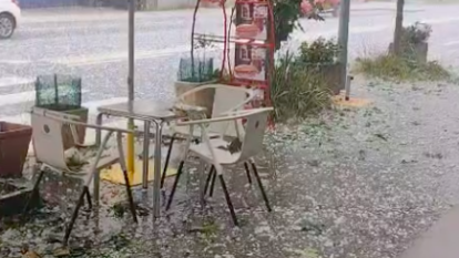 vilaller bar siscarri