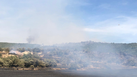 zona cremada de l'incendi de Sanaüja