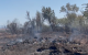 incendi torrefeta controlat
