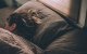 ¿Cuántas horas debemos dormir según nuestra edad?