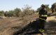 Un agent rural delimitava ahir a peu la zona afectada per l’incendi de Torrefeta i Florejacs. - LAIA PEDRÓS