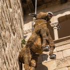 De pallasso, astronauta, príncep,... Ensenya'ns la teva disfressa o carrossa!