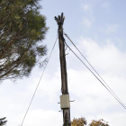 Cables en pals de línies de telèfon amb fibra òptica a l’Horta.