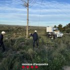 Torre de mitjana tensió que va ser ‘punxada’ a Torrebesses. - MOSSOS D’ESQUADRA