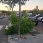 La calle de Sant Agustí, en Tàrrega.