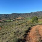 La majoria dels terrenys que ocuparan els parcs són agrícoles. - UP