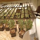 Els Mossos d'Esquadra detenen dos membres d'un grup criminal que gestionaven dos cultius de marihuana a les Garrigues