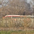 Un autobús que no pot continuar al camí de Grenyana.