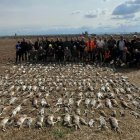 Una batuda amb fures a Torregrossa acaba amb la caça de 398 conills - APÇ