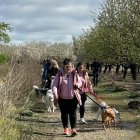 Els participants van treure a passejar tots els gossos adults acollits a la protectora de Seròs. - AJUNTAMENT D’AITONA