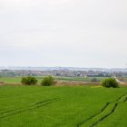 El polígon industrial de Torreblanca se situarà al costat dret de l’N-240 en direcció a les Borges, passada la variant sud (C-13). - GERARD HOYAS