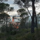 El monasterio de les Avellanes está enmarcado en un entorno natural privilegiado.