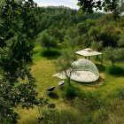 L’habitació-bombolla instal·lada entre oliveres a la Pobla de Cérvoles. - OLI COMETES