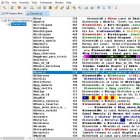 IRC: el primer gran punt de trobada digital