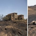 Les imágenes de la desolación después del gran incendio de la Segarra