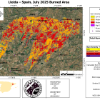 Burn area: el total del área quemada y la severidad del incendio