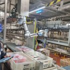 Instal·lacions càrnies de Bonàrea al seu complex de La Closa de Guissona. - BONÀREA