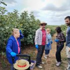 Aitona viu un cap de setmana de collita de figues dins de Fruiturisme
