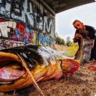 Silurs a la canalització - EDGAR ROMERA