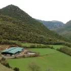 Imatge d’arxiu de la granja de vaques SAT Brams.