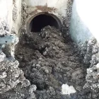 El musclo zebra ha assolit densitats de fins a 40.000 mol·luscos per m2 en xarxes d’aigua de Lleida. - ANTONI PALAU