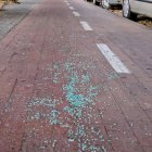 Vidres al tram del carril bici