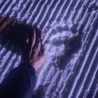 Petjades de l’os sobre la neu piconada de l’estació de Baqueira Beret.