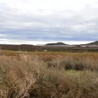 El nou polígon és al marge esquerre de la carretera que dona accés als Alamús per l’Ll-11. - SEGRE