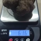 Imatge que mostra el pes exacte de la tòfona acabada de collir. - FARRÉ VIDAL