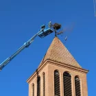 Els treballs de neteja del niu. - J.GÓMEZ