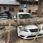 Un arbre caigut a Arties, a la Vall d'Aran, davant del Parador