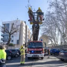 Els Bombers retiren branques que van caure a sobre de vehicles a l’avinguda Tarradellas de Lleida. - LAIA PEDRÓS