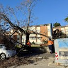 Arbre caigut pel vent damunt d'un cotxe a l'entorn de la plaça Ernest Lluch de Sant Boi de Llobregat.