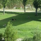 Acaba la segona onada de calor i alerten que la tercera serà en pocs dies