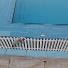 La piscina municipal del barri dels Mangraners de Lleida, tancada per vidres a l’interior